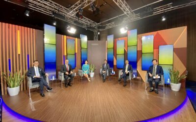 IBF X MAS: GROWING TIMBER SERIES