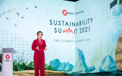 THE CLIMATE CONNECTION